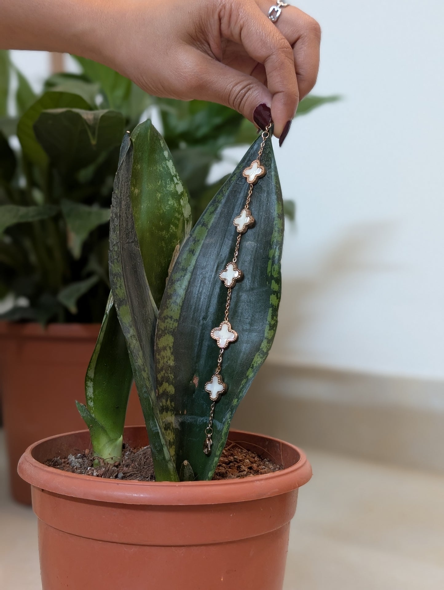 Trending Star and White Bracelet