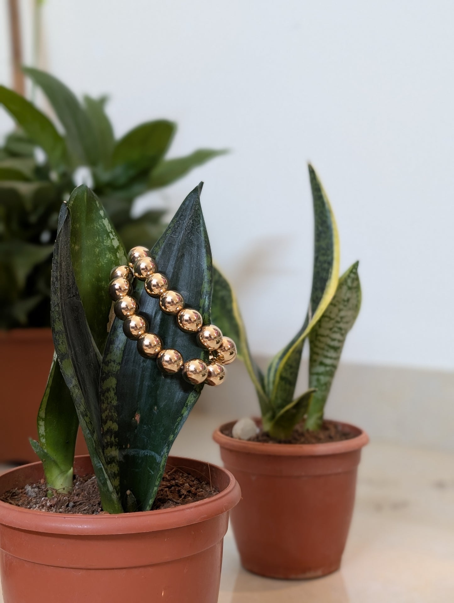 Golden Dusk Bracelet