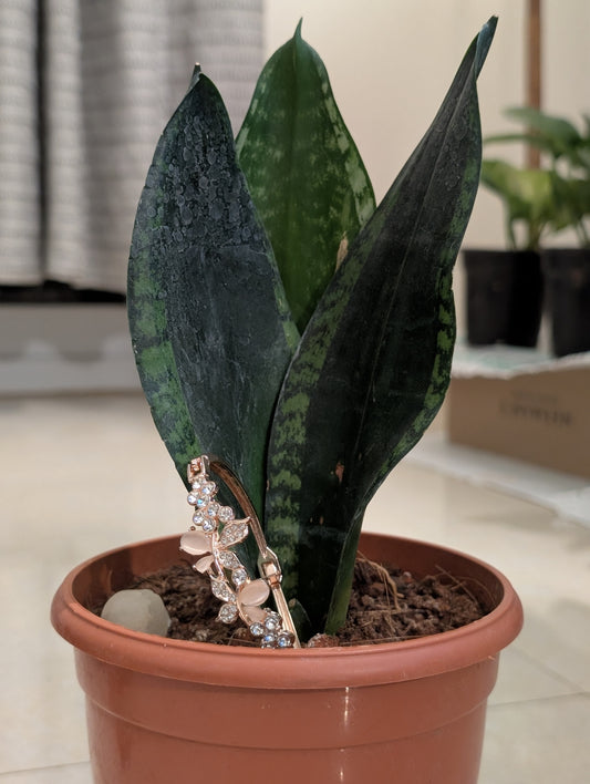 A Pink Chinki-Minki Bracelet