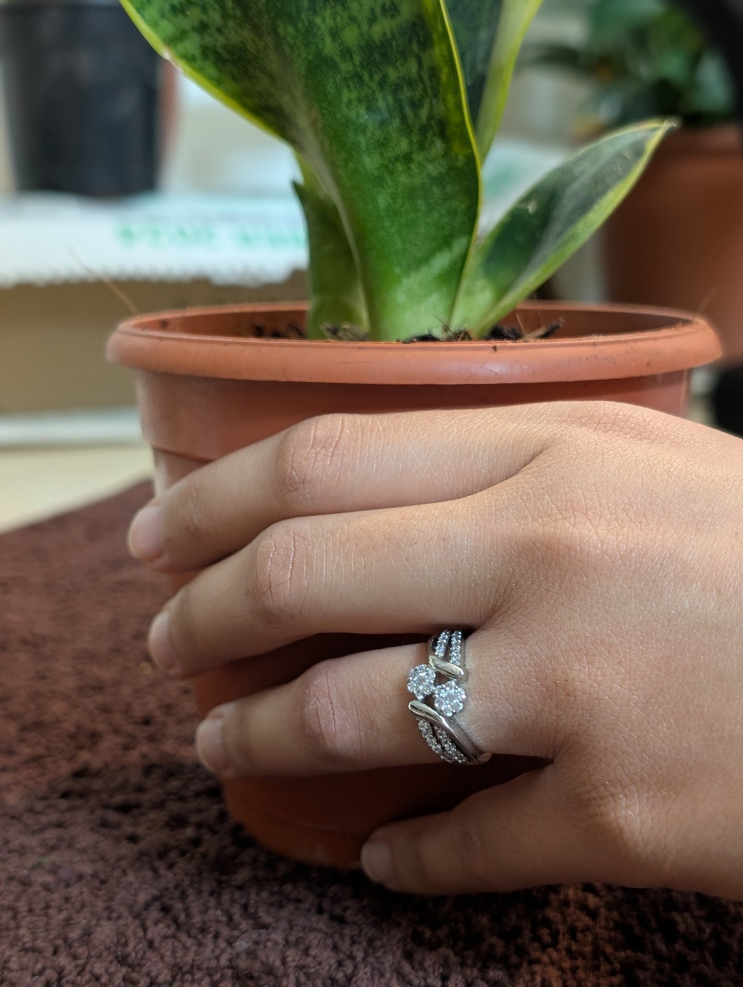 Harry Winston The One