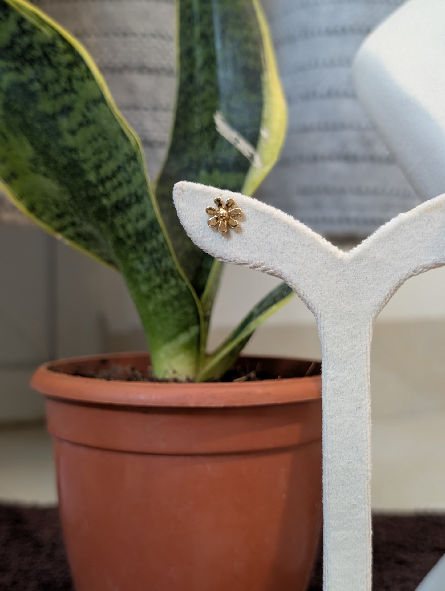 Golden Star Studs