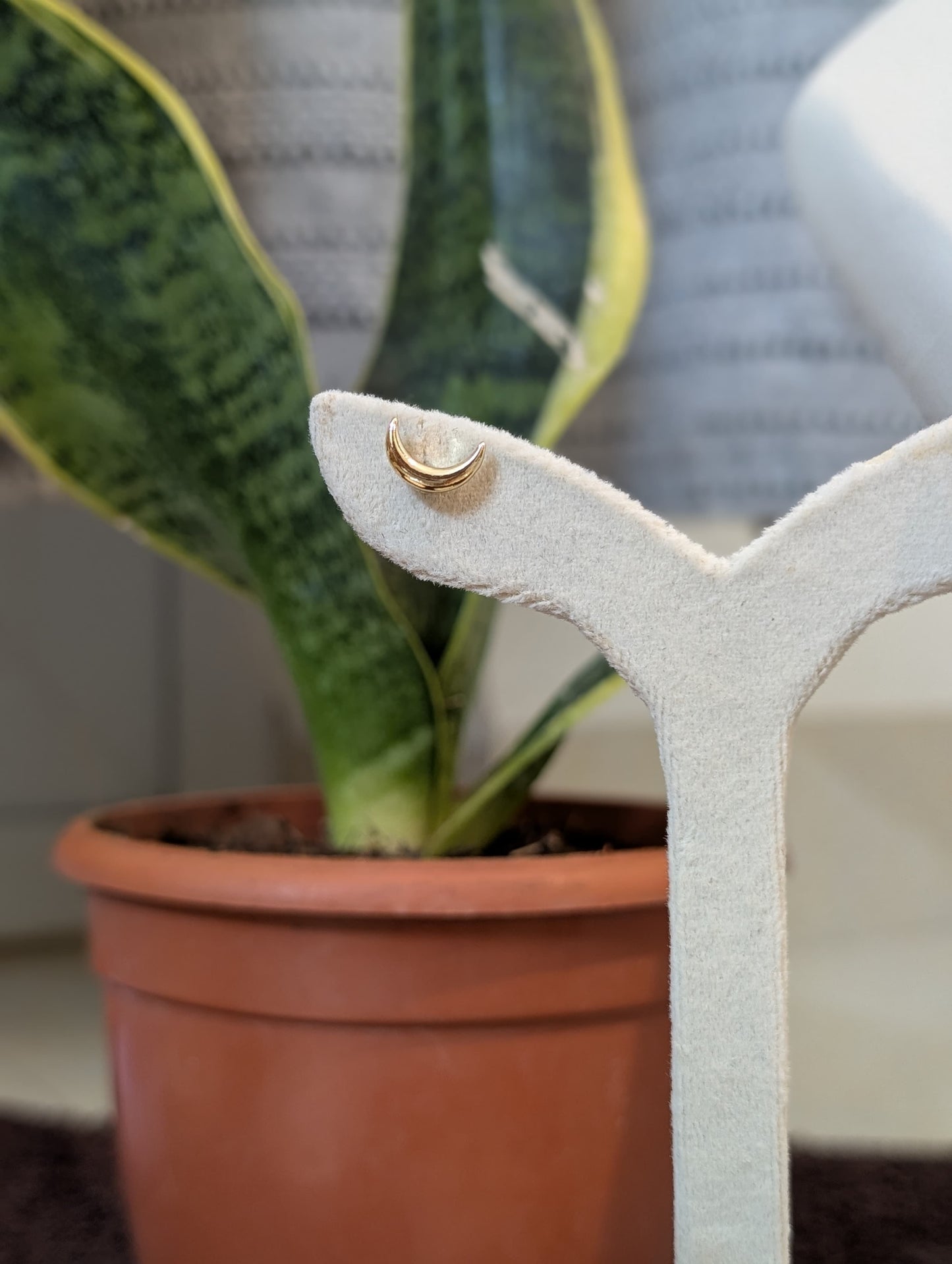 Golden Moon Studs