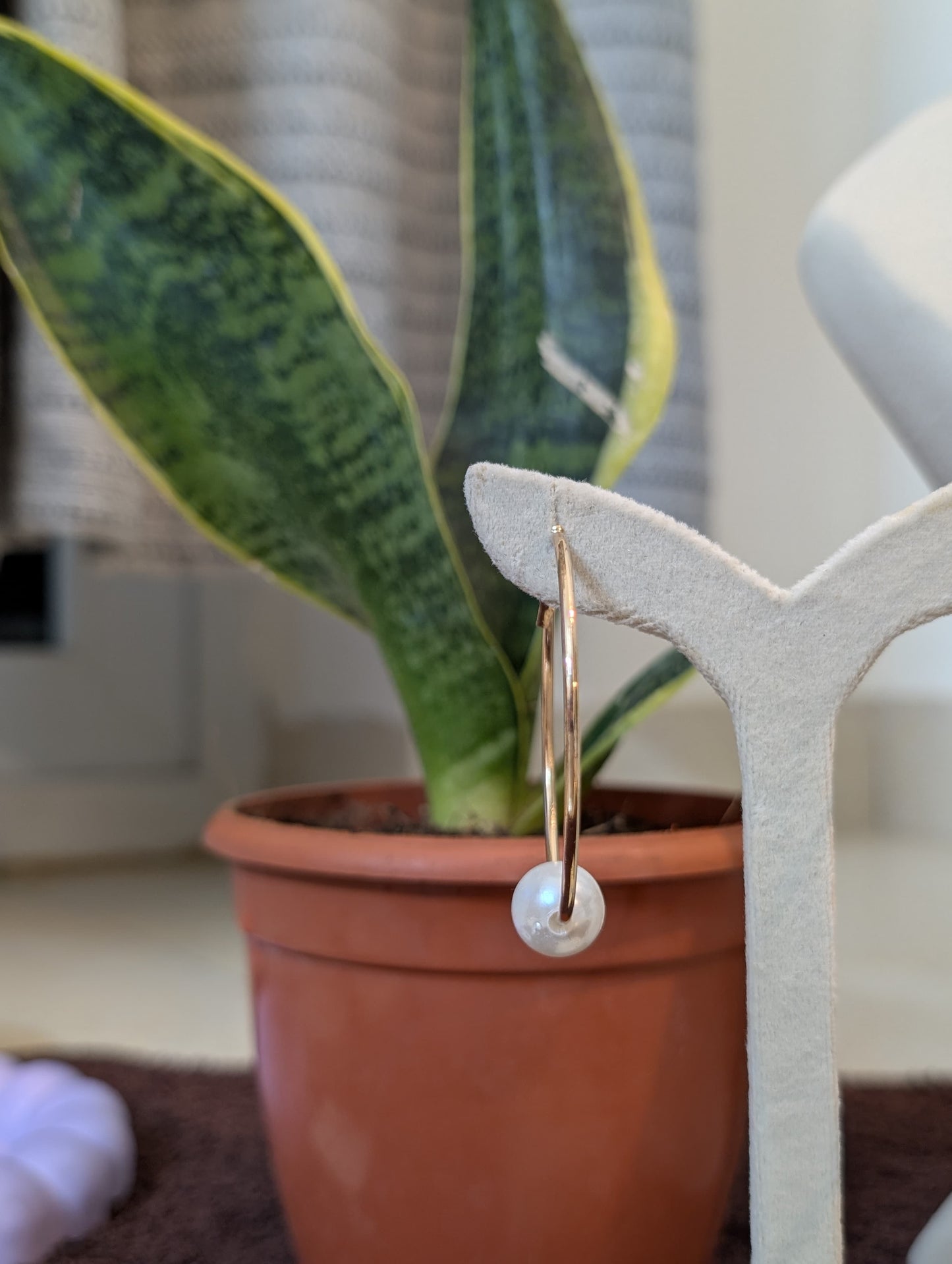 A Gold Hoop & A White Stud