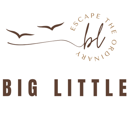 Big Little